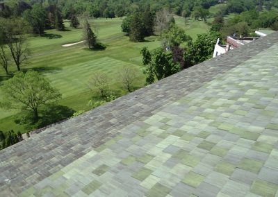 View Of Green Tile Roof And Garden